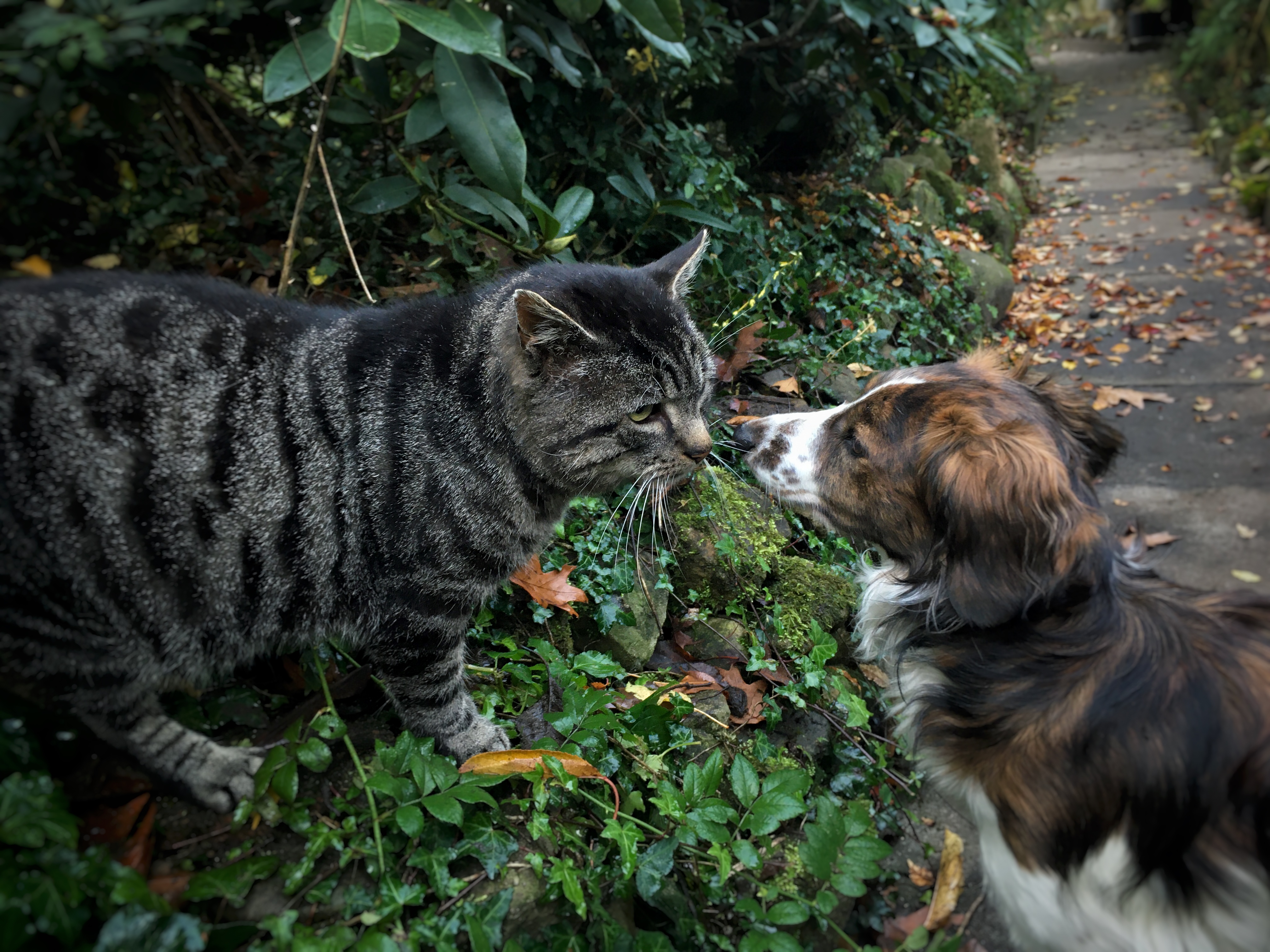 An-Chun Cheng - Goettingen entry 23