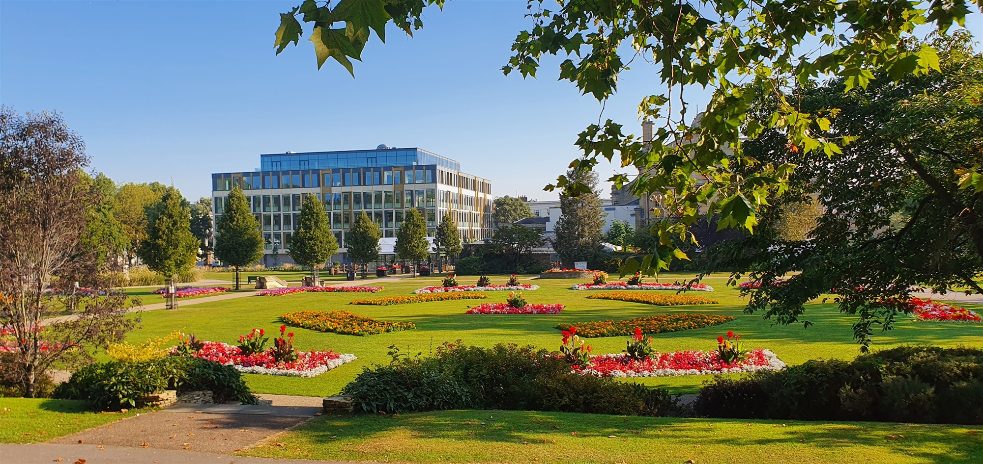 Chris Savill - Imperial in bloom