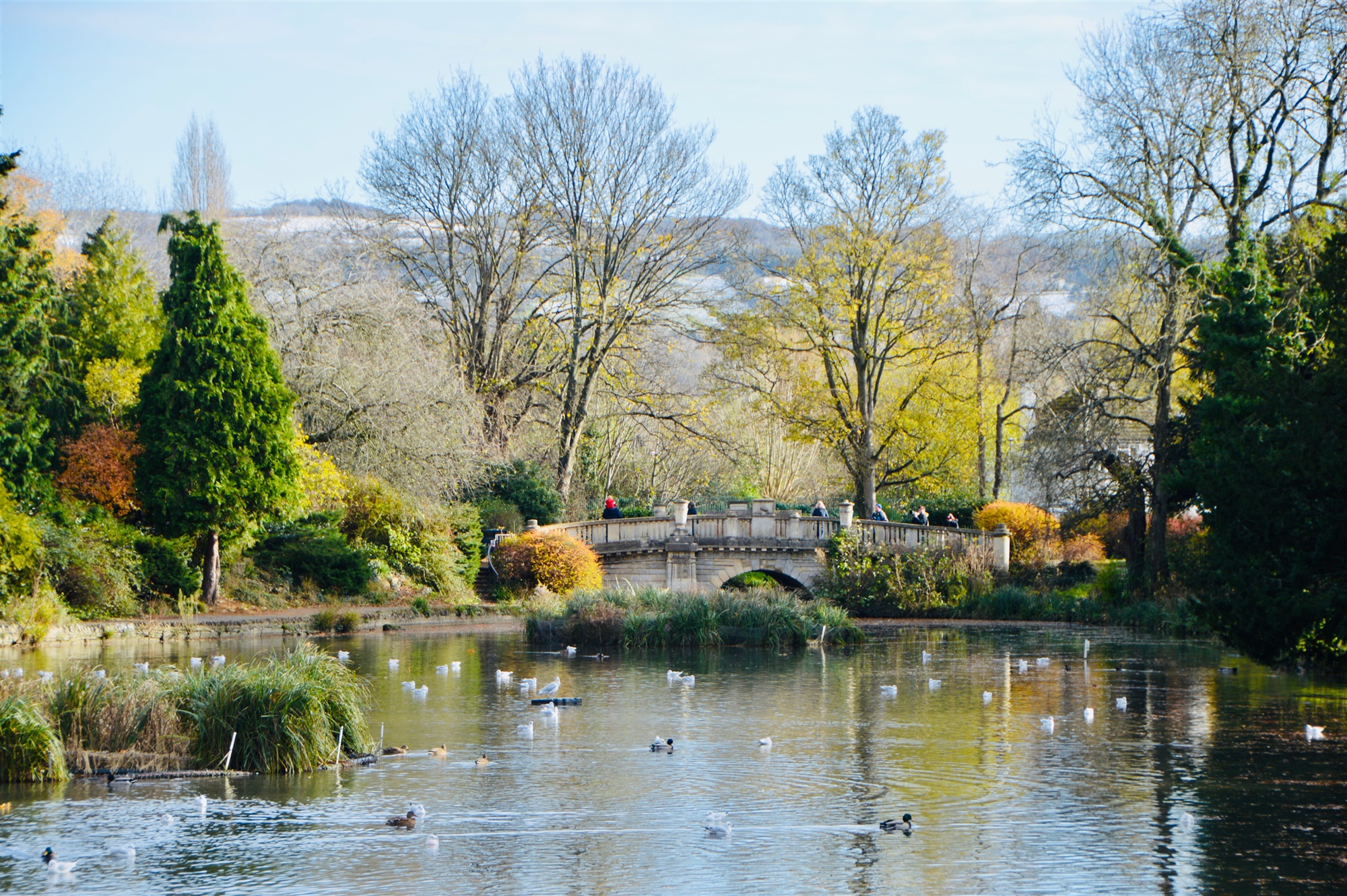 Finley South - Seasonal reflections