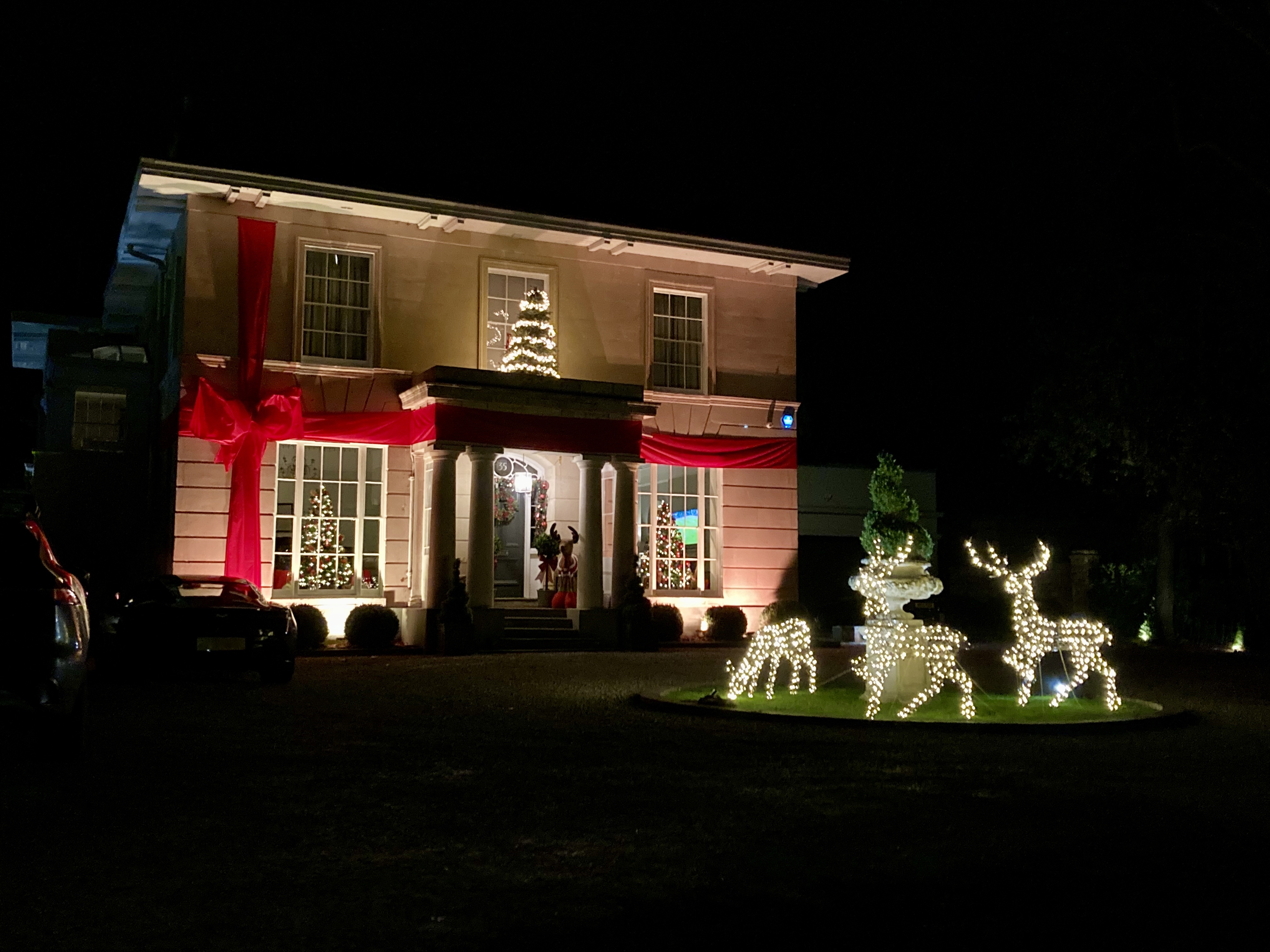 Harry Francis - Ribbons and reindeers