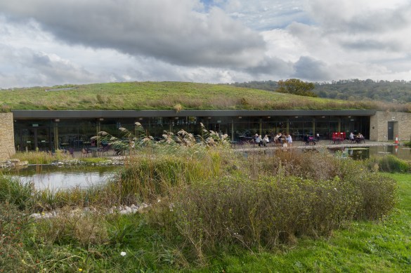 David Hyett - Nature Friendly Motorway Services (Highly commended)