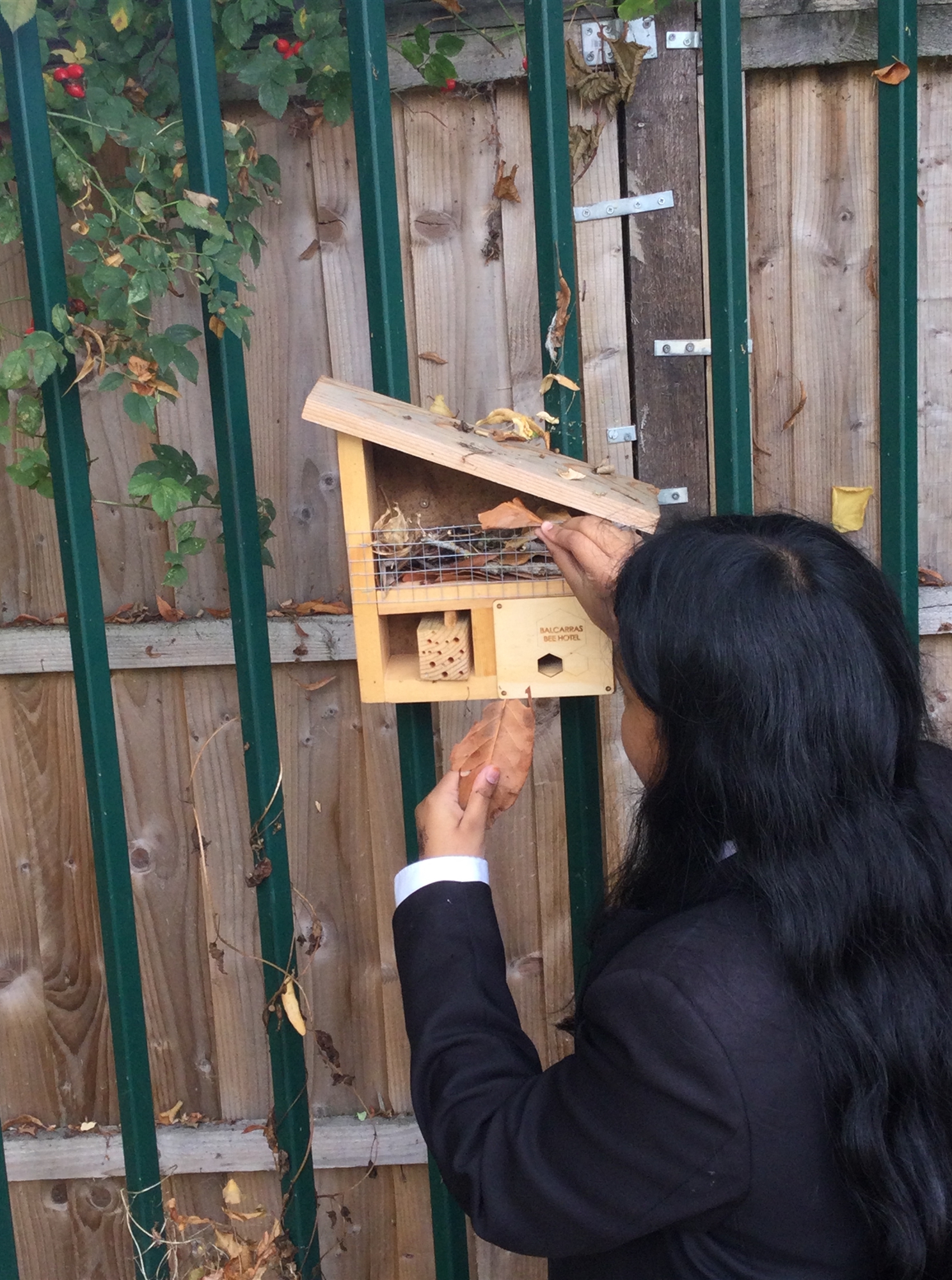 Joha Nawar - Save the bees (Third)