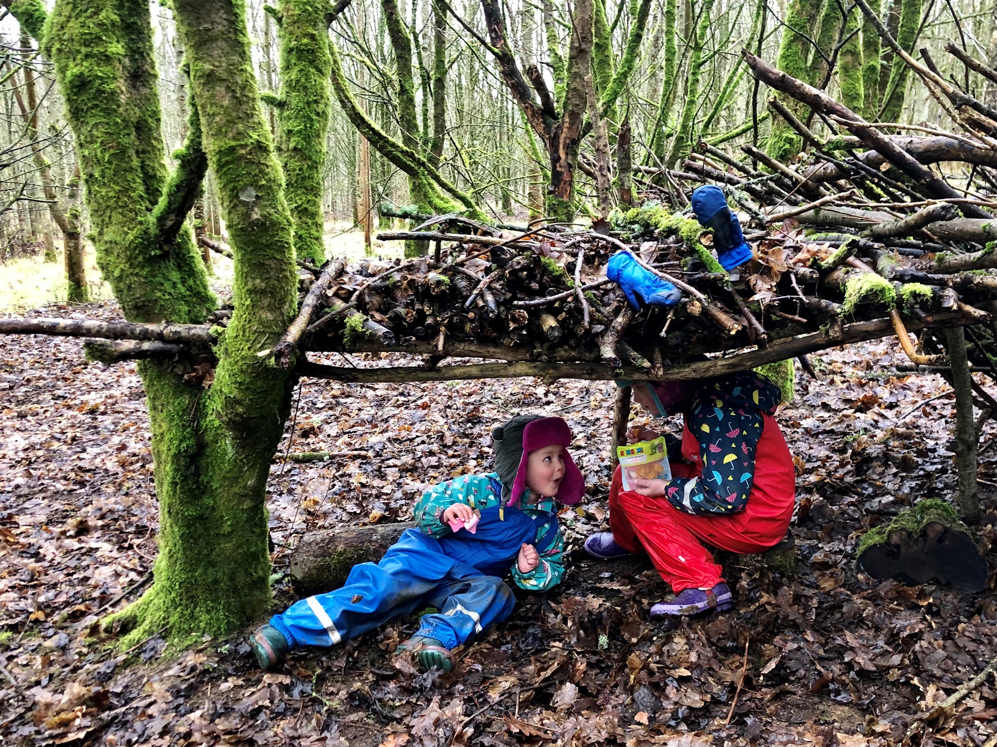 Steph Gore - At one with nature