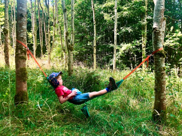 Steph Gore - Peace at last (First place)