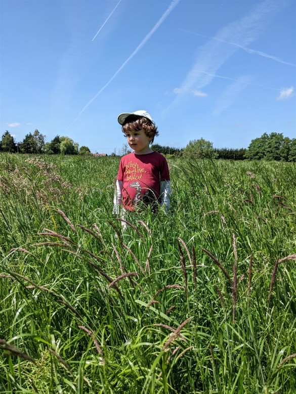 Tim Howarth - Lost in nature (Highly commended)