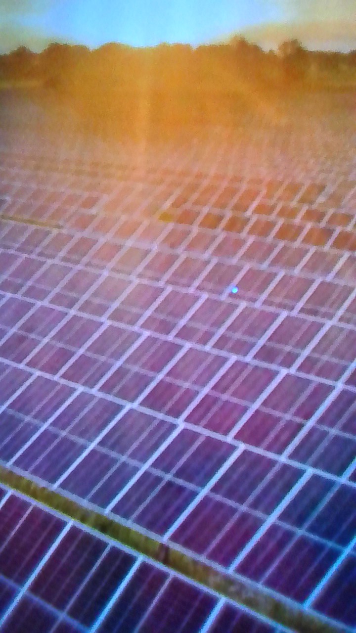 Caitlin Smith - Solar panels