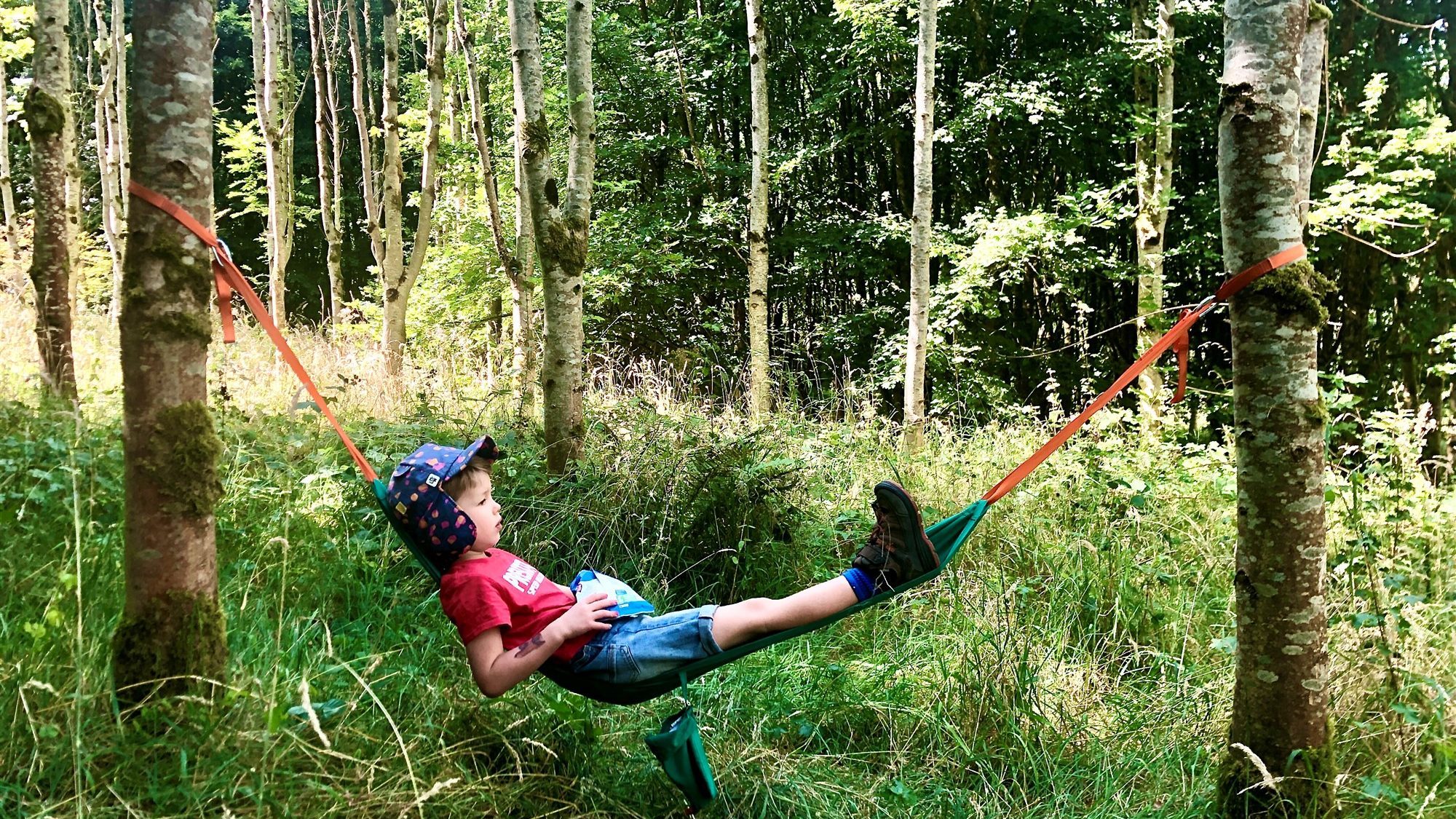 Steph Gore - Peace at last (First place)