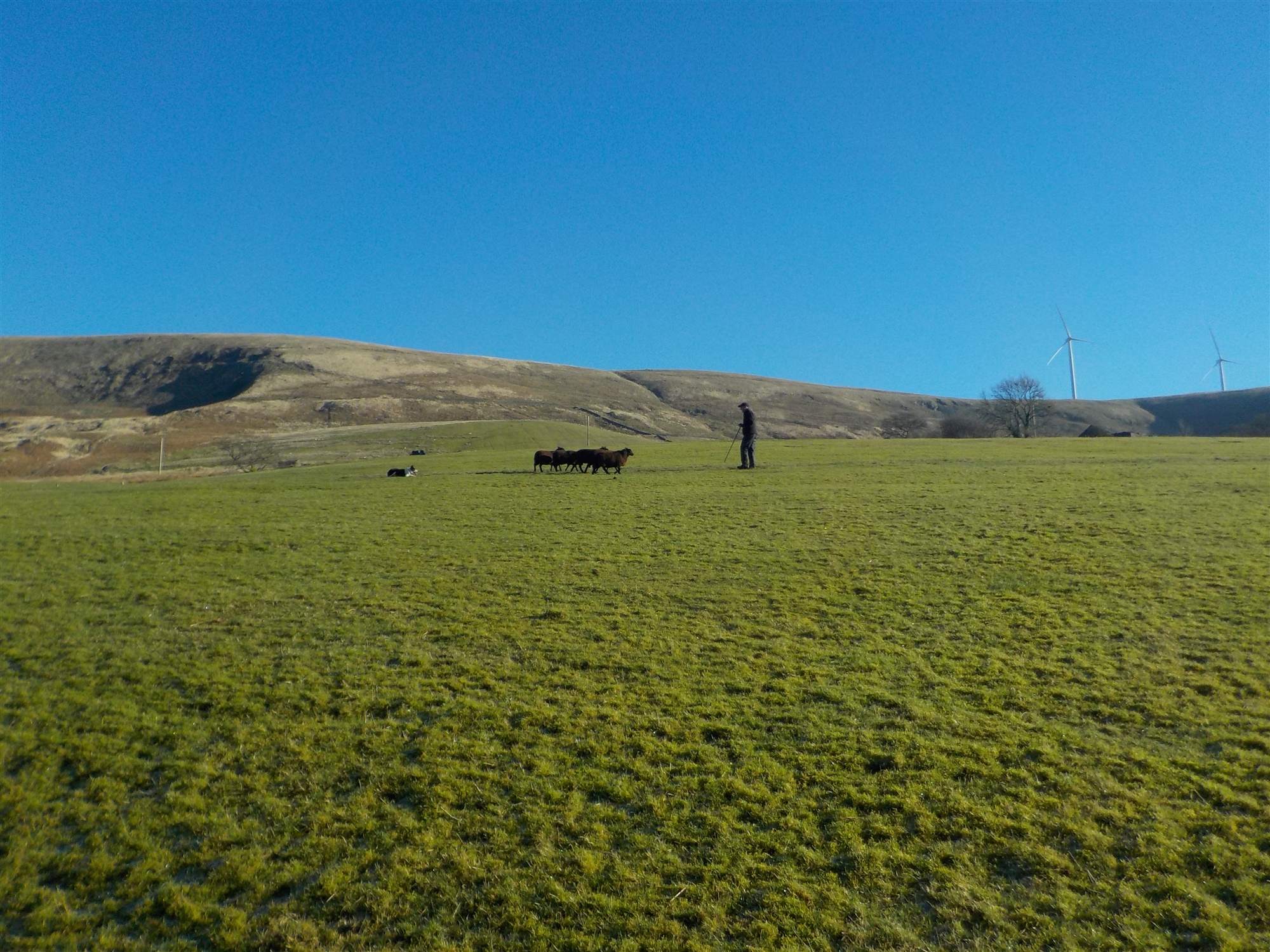 Wayne Morris - Old and new technoogy on the hills.