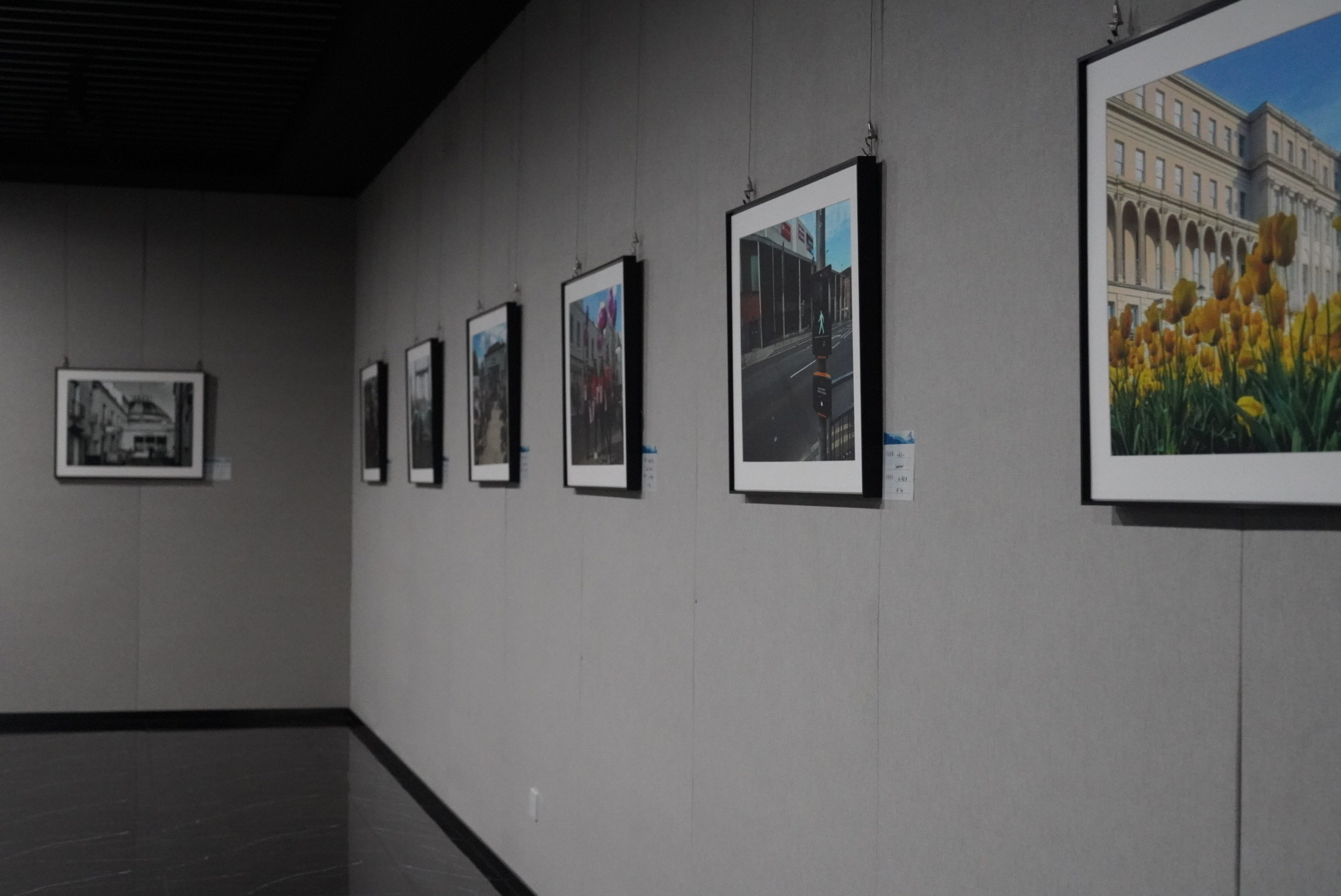 Selection of images on display